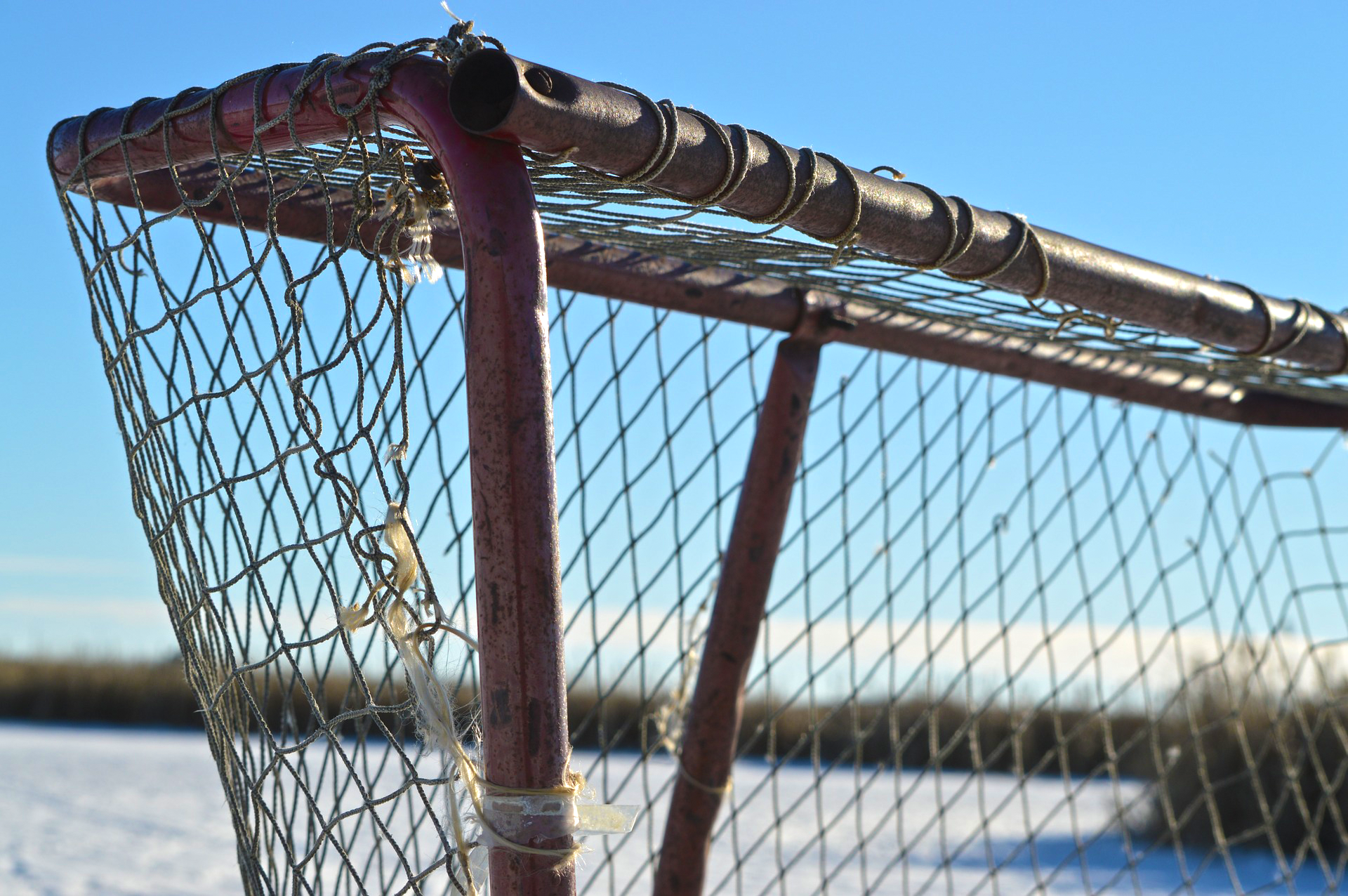 But de hockey sur glace