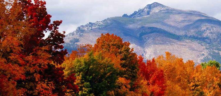 Great smoky mountains national park